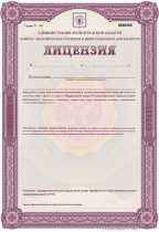 Лицензия №2